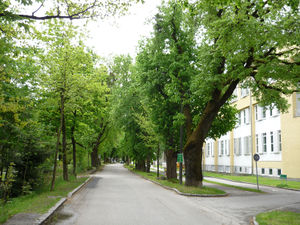 Hellbrunner Straße.jpg