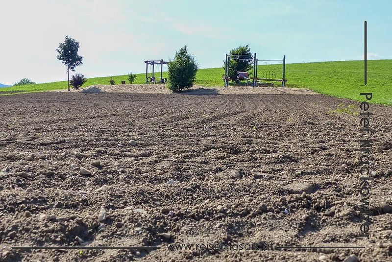 Datei:Blumenwiese Kühberg 10 Juli 2019 1.JPG