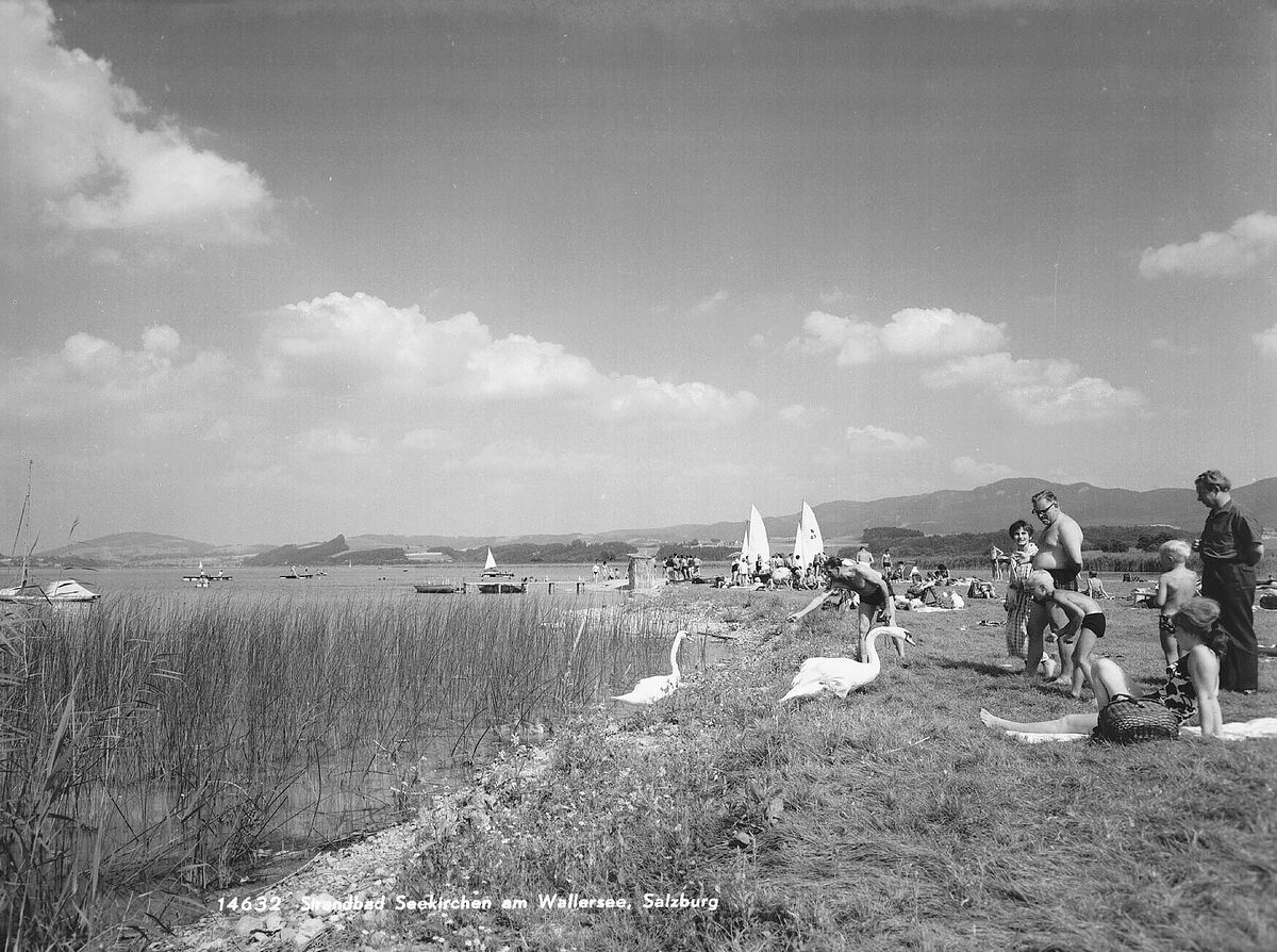 Strandbad Seekirchen am Wallersee SALZBURGWIKI