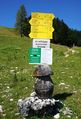 Wandermöglichkeiten auf der Spielbergalm.jpg