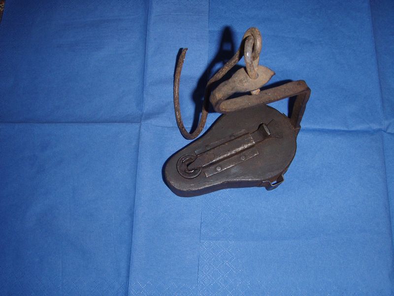 Datei:Geschlossener Frosch.jpg