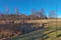 LSG Wallersee Ostbucht 17 Jan 2020 2.jpg