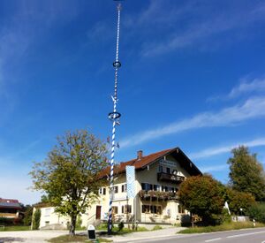 Maibaum in Leobendorf a.jpg