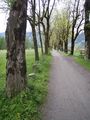 Vorschaubild der Version vom 15:30, 20. Mai 2010