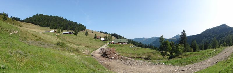 Datei:Auf den Ladenbergalmen.jpg