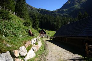 Hinteralmhütten lessachtal 33926 2016-08-25.jpg