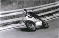 Magnus Manfred 05.jpg
