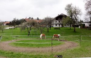 Pferdekpppel in Rappenwang.jpg