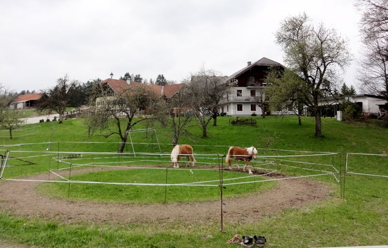 Datei:Pferdekpppel in Rappenwang.jpg