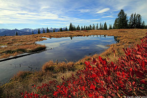 Rossbrand Herbst.jpg