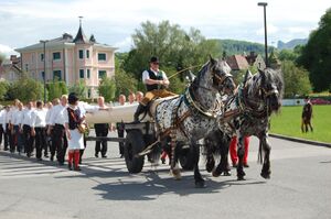 Stieglpferde Maibaumfeier 2012 A.jpg