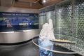 WasserWelten Krimml Ausstellung Gesicht Wasser 2020.jpg