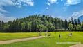2025 05 03 Hellbrunner Berg.jpg