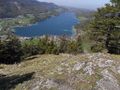 Ausblick vom Ellmaustein auf den Fuschlsee.jpg