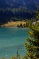 Schlierersee-0241-2021-09-14.jpg