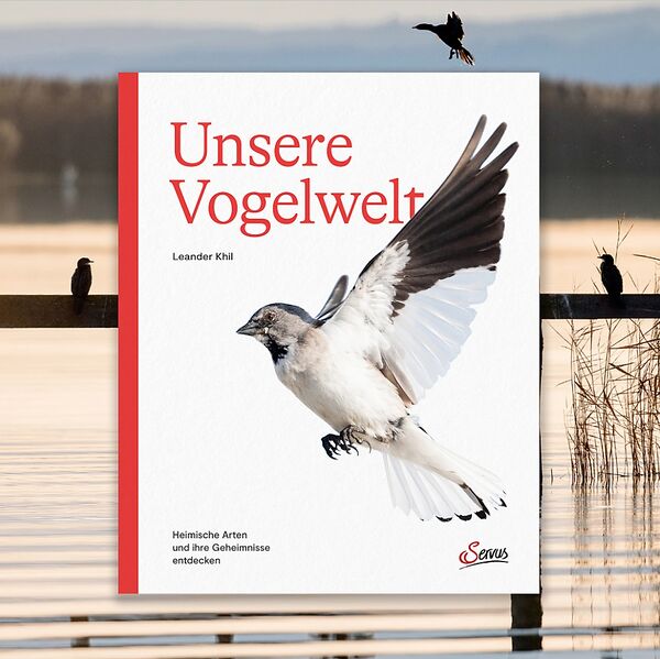 Datei:Unsere Vogelwelt servus Verlag.jpg