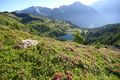 Wirpitschsee, untere-weißpriach 29633 2016-07-10.jpg