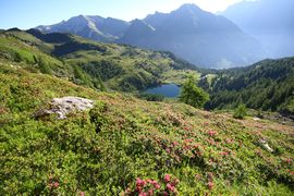 Wirpitschsee, untere-weißpriach 29633 2016-07-10.jpg