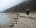 Geschiebeablagerung im Saalachstausee 2014.jpg
