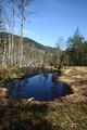 Mandlinger moor 69740 2018-04-18.jpg