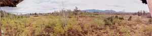 Ost-Panoramabild von der Wenger-Moor-Aussichtsplattform.JPG
