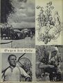 Salzburg im Sommer 1938 Die Bühne 06.jpg