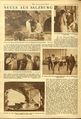 Salzburger Festspiele 1933 04.jpg