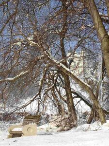 2006 01 16 Maria Plain Winter Bergheim 20.jpg