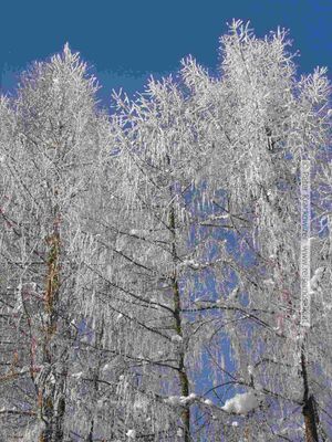 2006 01 16 Maria Plain Winter Bergheim 28.jpg