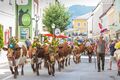 Almabtrieb in Radstadt.jpg