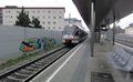 DSC07798.JPG