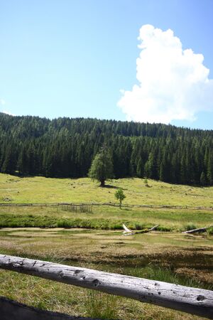 Forstautal, hinteres 63673 2013-07-23.jpg