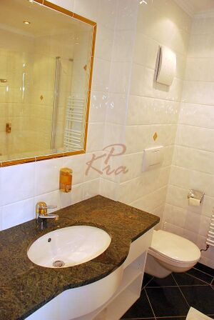 Pflegerbruecke Zimmer 06.jpg