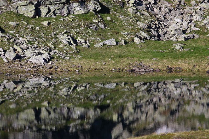 Datei:Wirpitschsee, obere-weißpriach 29654 2016-07-10.jpg