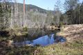 Mandlinger moor 69743 2018-04-18.jpg