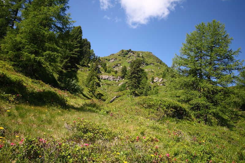 Datei:Schönalm weißpriach 29773 2016-07-10.jpg