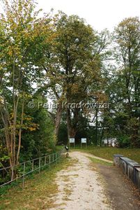 Schanzwallweg Neumarkt 06.jpg