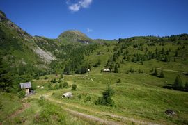 Wirpitschalm 29836 2016-07-10.jpg