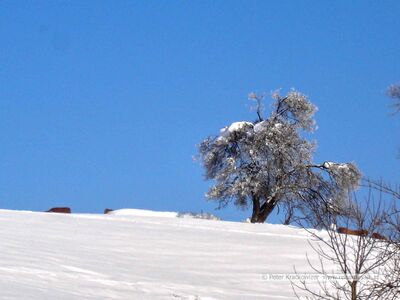 2006 01 16 Maria Plain Winter Bergheim 5.jpg