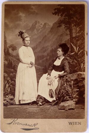 Fasching 1878 3.JPG