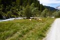 Lantschfeldtal-0124-2022-07-14.jpg