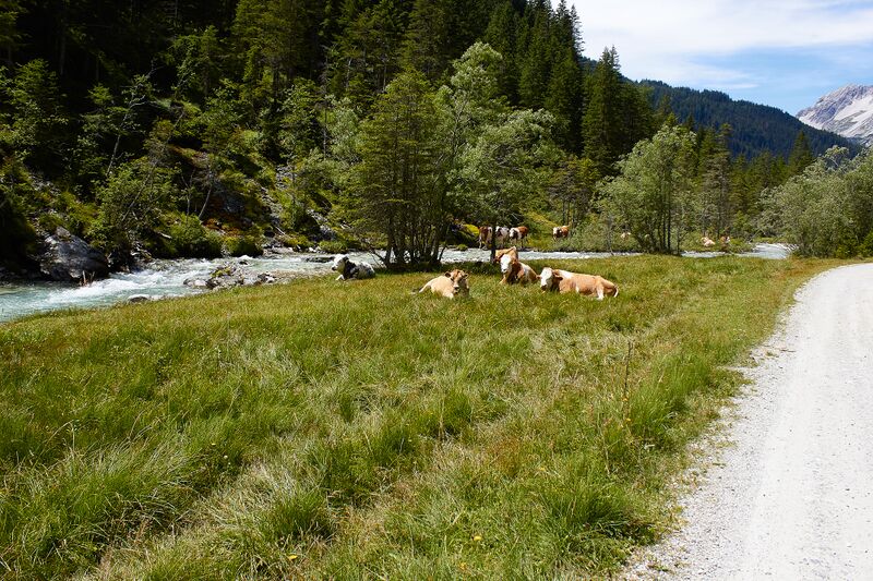 Datei:Lantschfeldtal-0124-2022-07-14.jpg