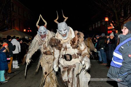 2024 12 05 Neumarkter Krampuslauf 24.jpg