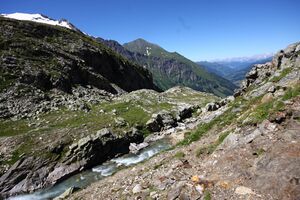 Gletscherbach radhaus 04657 2013-08-01.jpg