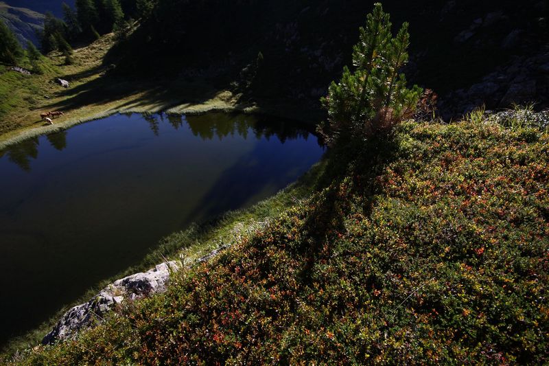 Datei:Gralatisee 32914 2016-08-25.jpg