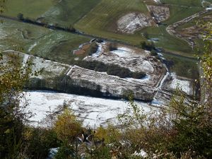 Naturschutzgebiet Zeller See 8.jpg