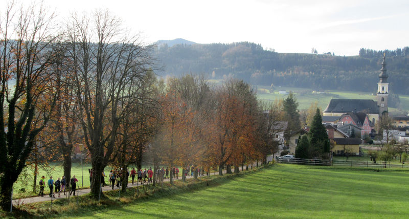 Datei:Auf thalgau zu.jpg