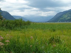 Naturschutzgebiet Zeller See.jpg