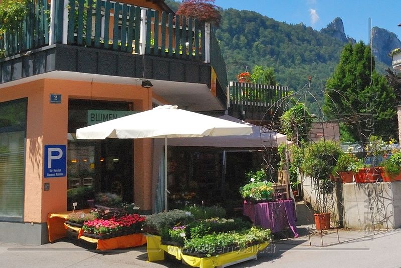 Datei:Ruhnau Blumen Hallein.jpg