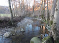 Steinbach (Neumarkt am Wallersee).jpg